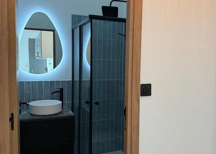 Apartment Premium Address For Trade Shows And Conferences In Cannes